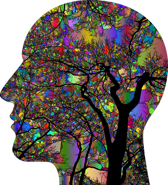 Identification between Brain and Mental Disorder